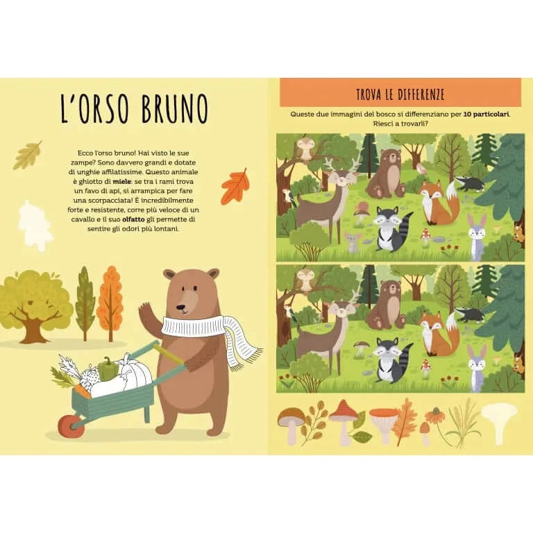 Stickers e Attività: Animali del bosco - Hebi