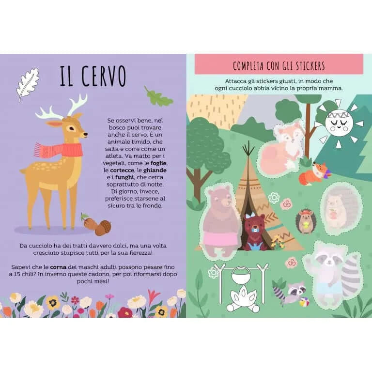 Stickers e Attività: Animali del bosco - Hebi